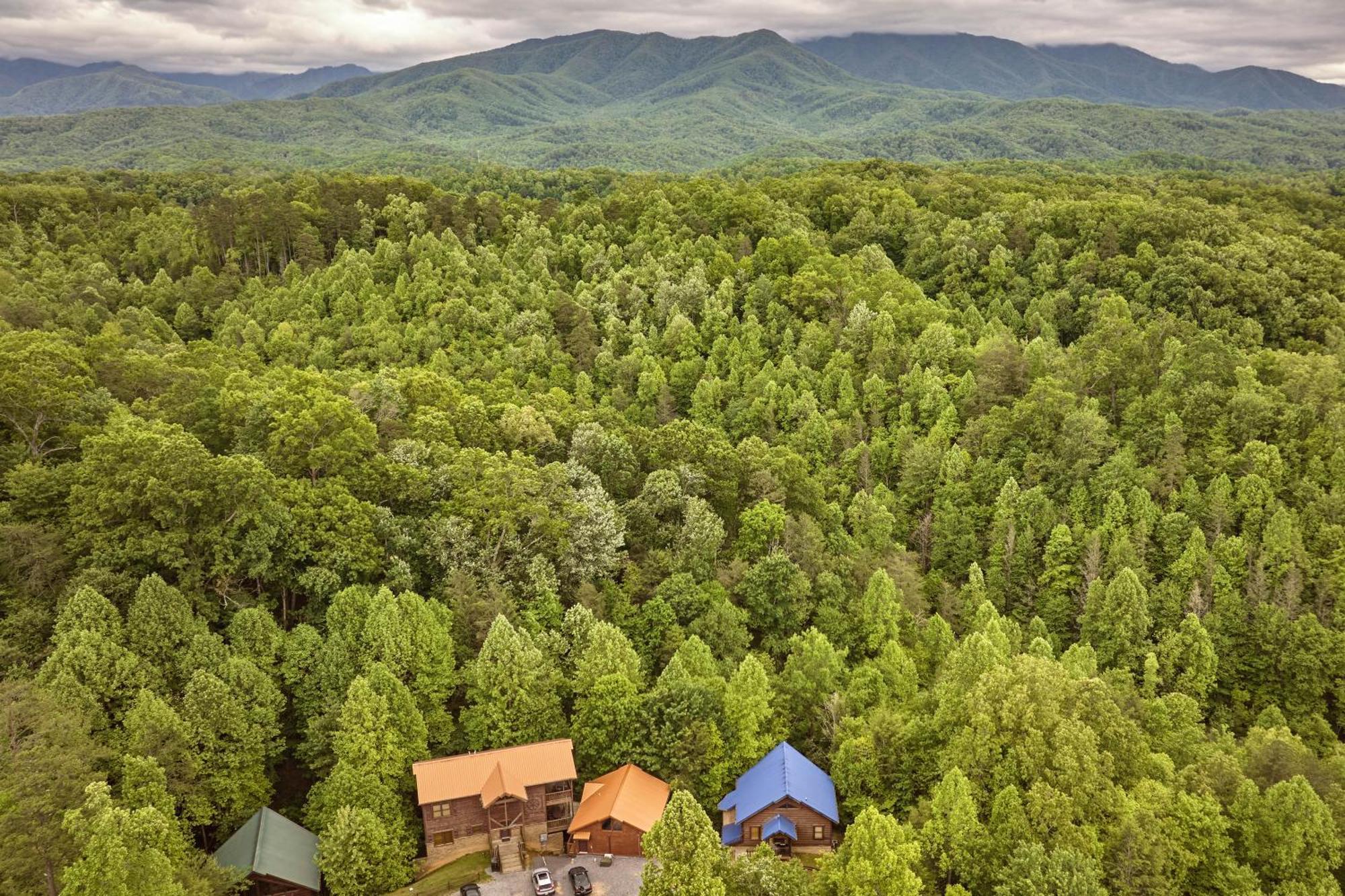 Chalet Damour Gatlinburg Exteriér fotografie